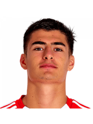 António João Tavares Silva